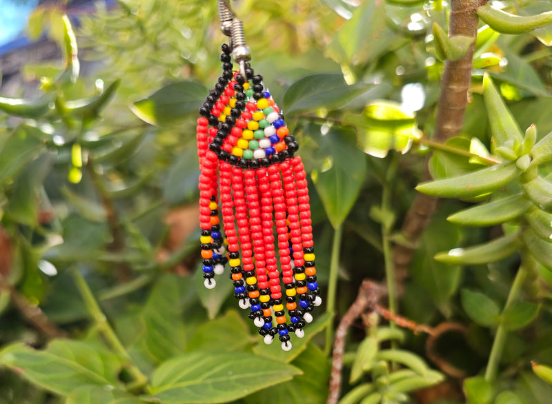 Beaded earrings